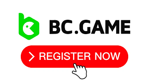 Discover the Excitement of BC Fun Discover the Excitement of BC Fun
