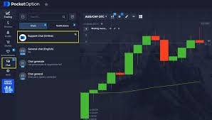 The Future of Trading Exploring Pocket Option