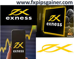 What Happens When the Exness Server Down A Comprehensive Guide What Happens When the Exness Server Down A Comprehensive Guide